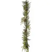 Mr Plant Seppele käpyillä 180 cm