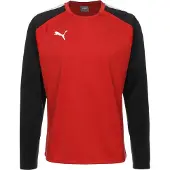 Puma Toiminnallinen paita 'Team Liga' punainen / musta