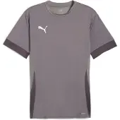 Puma Treenipaita Teamgoal - Harmaa/valkoinen, koko XX-Large
