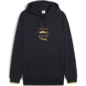 Puma Road To Unity Graphic Huppari
