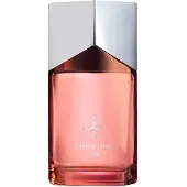 Mercedes-benz Land Eau de Parfum 100 ml