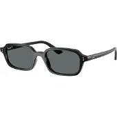 Ray-Ban Zuri - RB4455 667781 4919