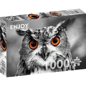 Enjoy Puzzle ENJOY Curious Owl 1000p palapeli