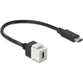 DeLOCK Keystone USB-C -jatkokaapeli, 15 W, 0,25 m, valkoinen