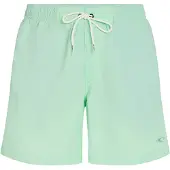 O'Neill Vert 16'' Surffishortsit mildrew mint Koko S