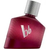Bruno Banani Loyal Man Eau de Parfum miehille 50 ml