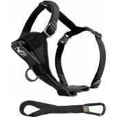 Kurgo Tru-Fit koiran valjas