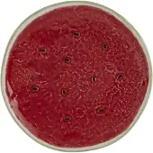 Bordallo Pinheiro - Watermelon Lautanen 21 cm Punainen