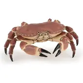 Papo Rapu - l: 8 cm - - OneSize - Eläinfiguurit