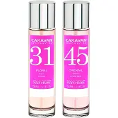 Caravan Nº45 & Nº31 Hajuvesi