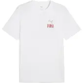Puma Road To Unity Values Graphic Lyhythihainen T-paita