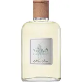 Ralph Lauren Polo Earth Antilles Vetiver 100 ml