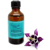 Kaurilan Sauna Löylytuoksu Eukalyptus 50 ml
