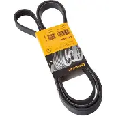 CONTITECH Moniurahihna 6PK2080,
