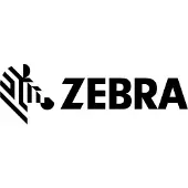 Zebra – Strap Set Of 10 Replaceable (KT-STRPT-RS507-10R)