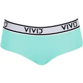 Vivid Bikinihousut vesi / vaaleanharmaa / musta