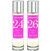 Caravan Nº26 & Nº24 Hajuvesi
