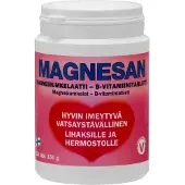 Kärkkäinen Magnesan Magnesium + B-vitamiini ravintolisä