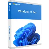 Microsoft Windows 11 Pro (64bit OEM)