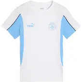Puma Manchester City Fc Football Archive Lyhythihainen T-paita