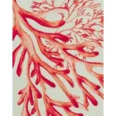 Malina Blanka Printed Drawstring Bikini Bottoms - Red - XS