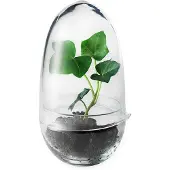 Design House Stockholm Grow minikasvihuone, S