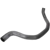 THERMOTEC Jäähdyttimen letku DWV002TT