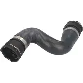 THERMOTEC Jäähdyttimen letku DWB121TT oikea