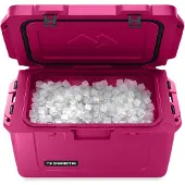 Dometic Patrol 35 eristetty passiivinen kylmälaukku 36 litraa, orchid