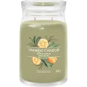 Yankee candle Sage & Citrus tuoksukynttilä Signature 567 g