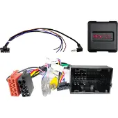 ACV Ratinterface Citroen/Fiat/Opel/Peugeot VP1/VP2/Daiichi