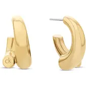 Calvin Klein Spiral korvakorut 35000765