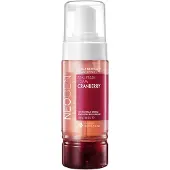 Neogen Real Fresh Foam Cranberry 160 g