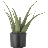 Bloomingville BloomingvilleAloe KasviVihreäTekokasvit- Homeroom