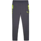 Puma Urheiluhousut 'IndividualCUP' harmaa / limetti