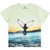 Molo Rame Short Sleeve T-Shirt Whale Tail 122 cm Sininen 122 cm Pojat