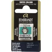 Taidepiste Rembrandt akvarelli 640 Bluish Green - 1/2 nappi
