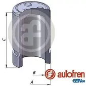 AUTOFREN SEINSA brake calliper piston