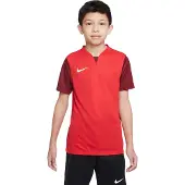Nike Toiminnallinen paita 'Trophy V' punainen / viininpunainen / valkoinen