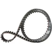 Gates Hammashihnat 5575XS