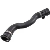 FEBI BILSTEIN Jäähdyttimen letku 183457