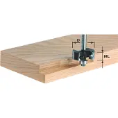 Festool Vaihtoterät höyläkoneelle HW S8 D35/12