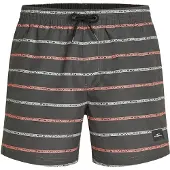O'Neill Cali First 15'' Surffishortsit grey o / neill stripe Koko S
