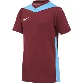 Nike Pelipaita Dri-fit Park Derby Iv - Viininpunainen/sininen/valkoinen Lapset, koko S: 128-137 cm
