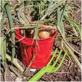 Bigjigs Red Metal Bucket