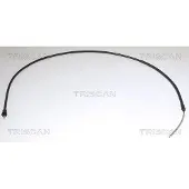 TRISCAN Vaijeri, seisontajarru 8140 251254