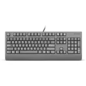 Lenovo PREFERRED II PRO USB KEYBOARD US EURO (AI) (4Y41R64616)