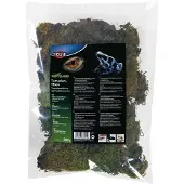 Trixie - Reptiland Terrarium Moss Brown 200 g - Matelijat - Terraarion pohjamateriaali - Luonnolliset substraatit ja sammalet