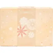 Technic Super Cosmetic lähtölaskenta Adventskalenteri