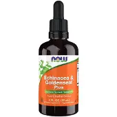 Now Echinacea & Kultapiisku Plus - 60 ml